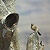Vogel am Köcherbaum Nähe Fish River Canyon Lodge, 2011, © G. Mosdzien